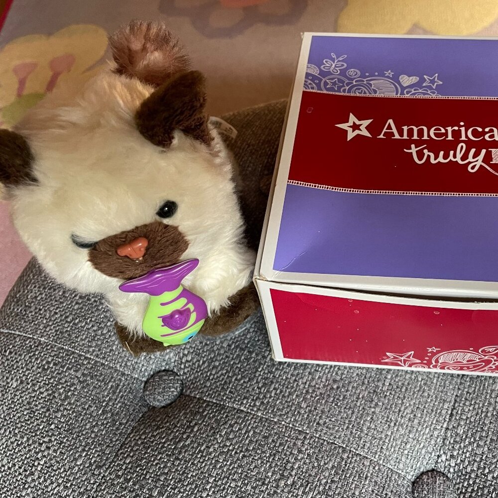 American Girl doll himalayan kitten